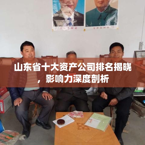 山東省十大資產(chǎn)公司排名揭曉，影響力深度剖析