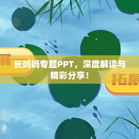 長媽媽專題PPT，深度解讀與精彩分享！