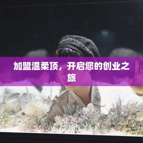 加盟溫柔頂，創(chuàng)業(yè)啟程啟航