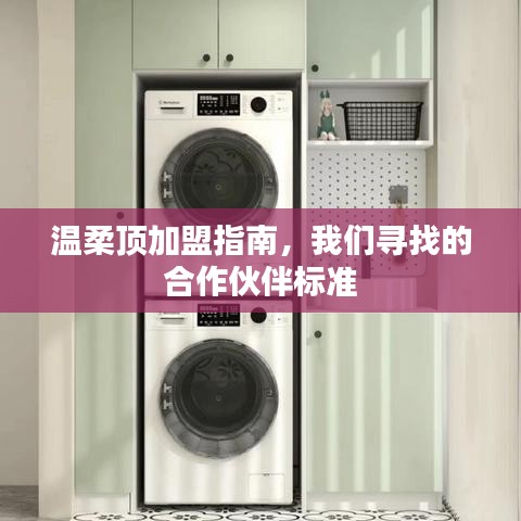 溫柔頂加盟手冊，合作伙伴招募標(biāo)準(zhǔn)詳解