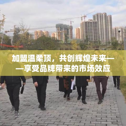 加盟溫柔頂，共創(chuàng)輝煌未來，品牌市場效應等你來享