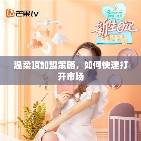 溫柔頂加盟攻略，快速打開(kāi)市場(chǎng)之門(mén)