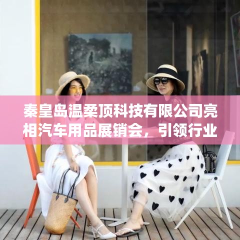 秦皇島溫柔頂科技引領汽車用品展銷新風向