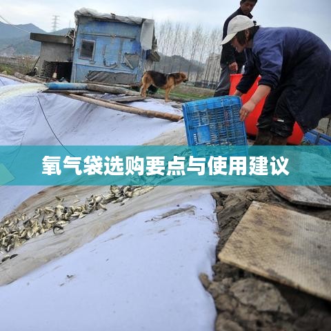 氧氣袋選購(gòu)指南，要點(diǎn)解析與使用建議