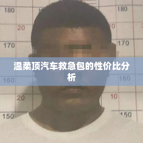 溫柔頂汽車救急包，性價比解析