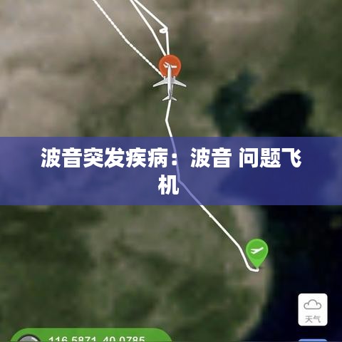 波音突發(fā)疾?。翰ㄒ?問題飛機(jī) 