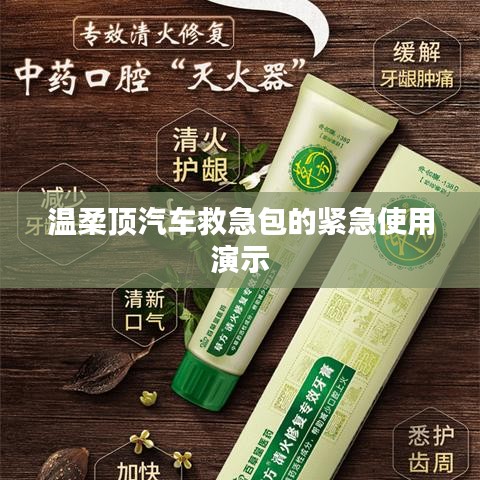 溫柔頂汽車救急包緊急使用指南，演示篇