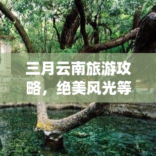 三月云南旅游攻略，絕美風(fēng)光等你來(lái)探！