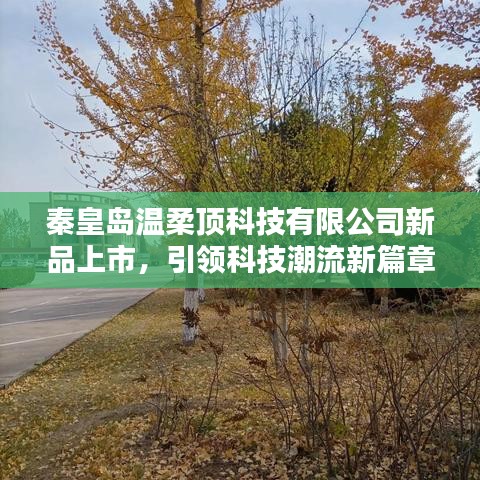 秦皇島溫柔頂科技新品發(fā)布，科技潮流新篇章開啟