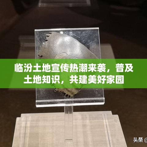 踴貴屨賤 第3頁