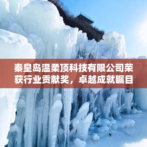 秦皇島溫柔頂科技榮獲行業(yè)貢獻(xiàn)獎(jiǎng)，引領(lǐng)創(chuàng)新風(fēng)潮，卓越成就矚目