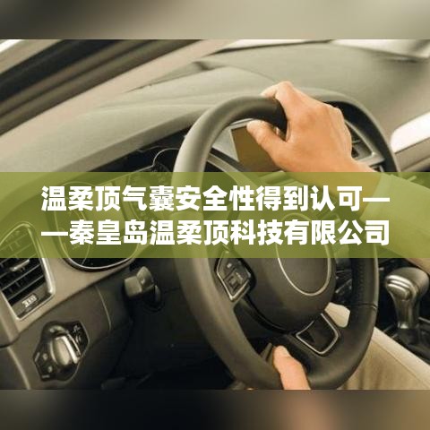 秦皇島溫柔頂科技引領(lǐng)行業(yè)新標(biāo)桿，氣囊安全性備受認(rèn)可