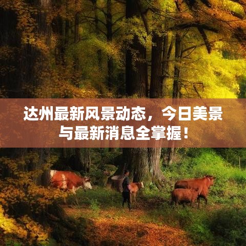 達(dá)州最新風(fēng)景動態(tài)，今日美景與最新消息全掌握！