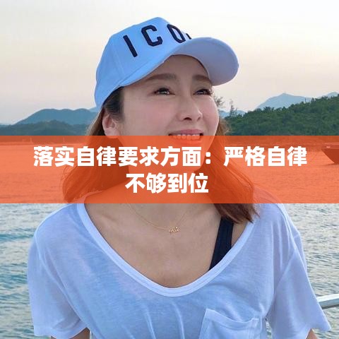 落實自律要求方面：嚴格自律不夠到位 