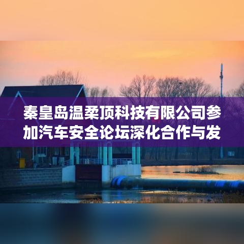 秦皇島溫柔頂科技參加汽車安全論壇，深化合作，共謀發(fā)展