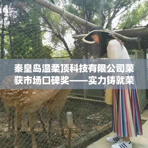 秦皇島溫柔頂科技榮獲市場(chǎng)口碑獎(jiǎng)，實(shí)力創(chuàng)新，引領(lǐng)未來(lái)