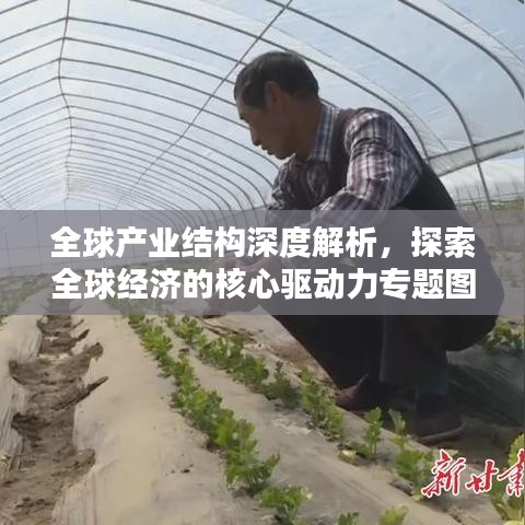 全球產(chǎn)業(yè)結(jié)構(gòu)深度解析，探索全球經(jīng)濟的核心驅(qū)動力專題圖書