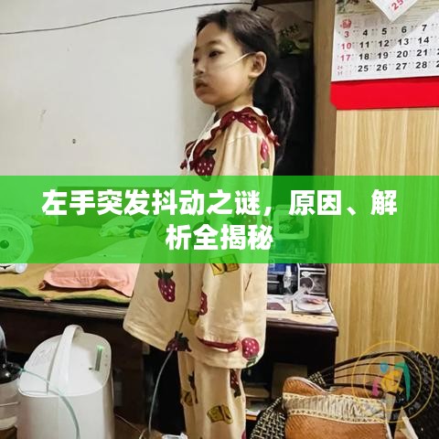 左手突發(fā)抖動之謎，原因、解析全揭秘
