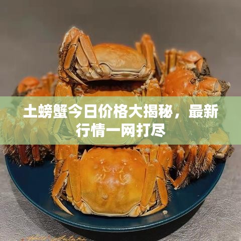 骨瘦如柴 第3頁