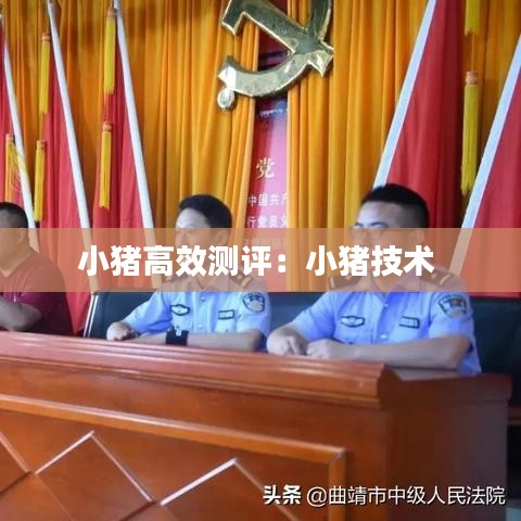小豬高效測(cè)評(píng)：小豬技術(shù) 