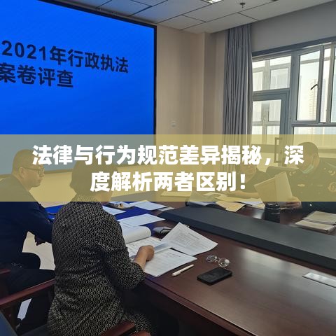 法律與行為規(guī)范差異揭秘，深度解析兩者區(qū)別！