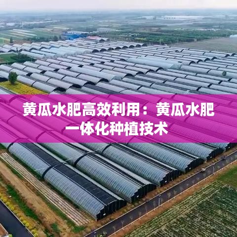 飛墻走壁 第3頁