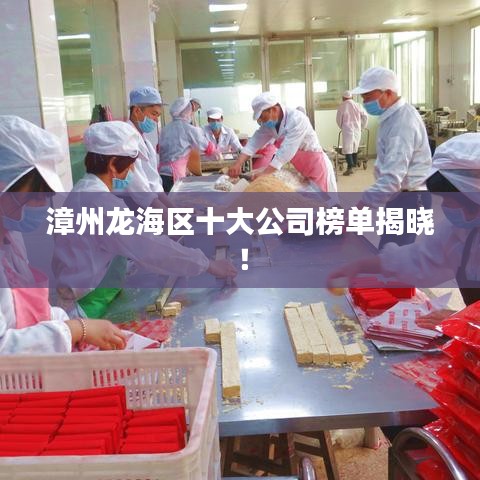 漳州龍海區(qū)十大公司榜單揭曉！