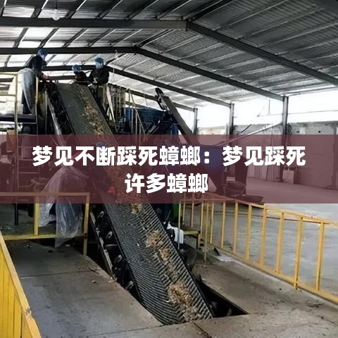 夢(mèng)見(jiàn)不斷踩死蟑螂：夢(mèng)見(jiàn)踩死許多蟑螂 