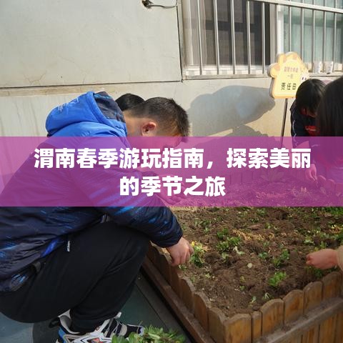 渭南春季游玩指南，探索美麗的季節(jié)之旅