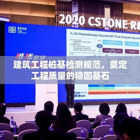 建筑工程樁基檢測規(guī)范，奠定工程質(zhì)量的穩(wěn)固基石
