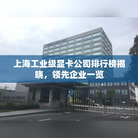 東張西望 第3頁