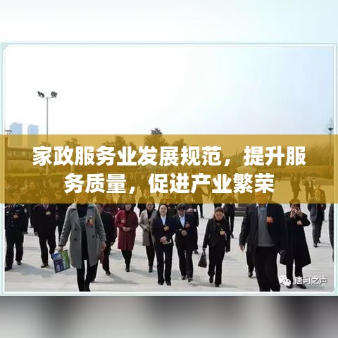家政服務(wù)業(yè)發(fā)展規(guī)范，提升服務(wù)質(zhì)量，促進產(chǎn)業(yè)繁榮