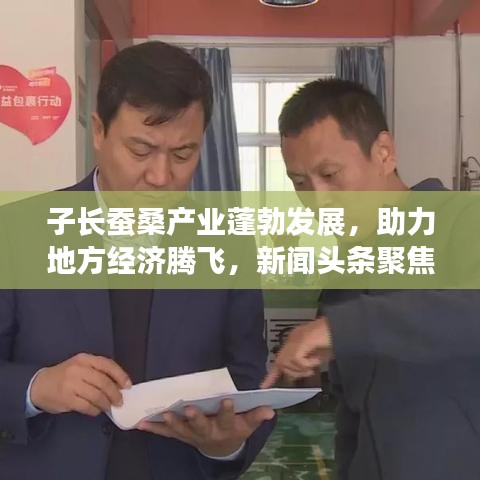 子長蠶桑產業(yè)蓬勃發(fā)展，助力地方經濟騰飛，新聞頭條聚焦蠶桑產業(yè)新動態(tài)