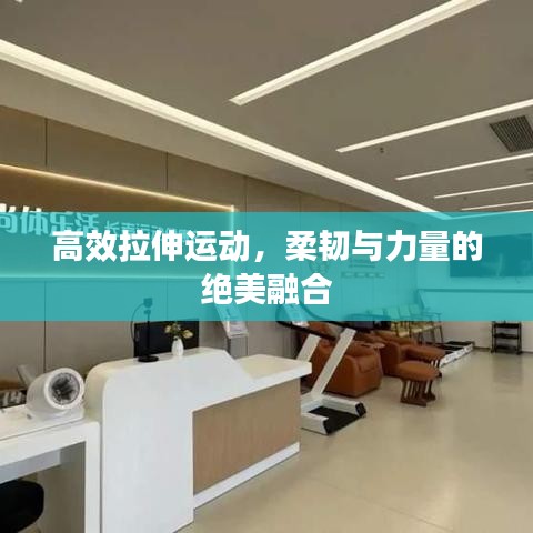 高效拉伸運動，柔韌與力量的絕美融合