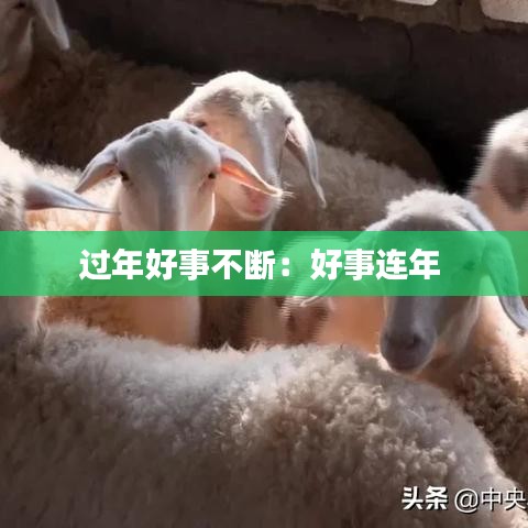 過(guò)年好事不斷：好事連年 
