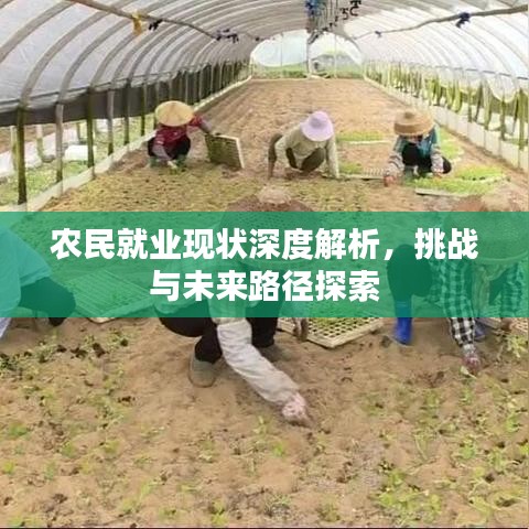 農(nóng)民就業(yè)現(xiàn)狀深度解析，挑戰(zhàn)與未來路徑探索