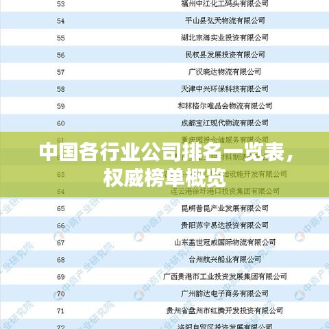 中國各行業(yè)公司排名一覽表，權威榜單概覽