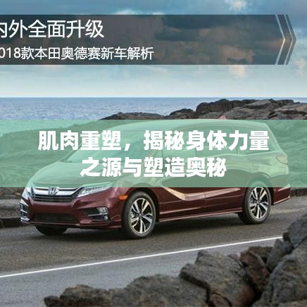 肌肉重塑，揭秘身體力量之源與塑造奧秘