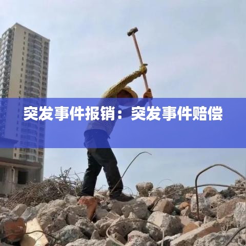 突發(fā)事件報(bào)銷：突發(fā)事件賠償 