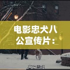 電影忠犬八公宣傳片：電影忠犬八公國(guó)語(yǔ)在線(xiàn)觀(guān)看完整 