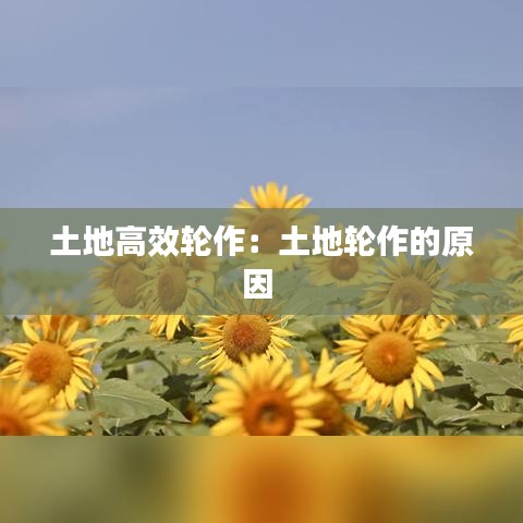 張張屈屈 第3頁