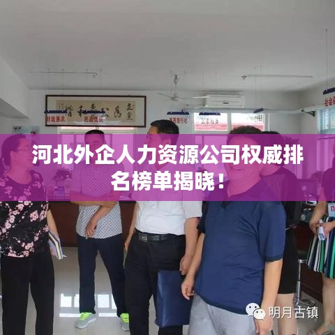 河北外企人力資源公司權(quán)威排名榜單揭曉！