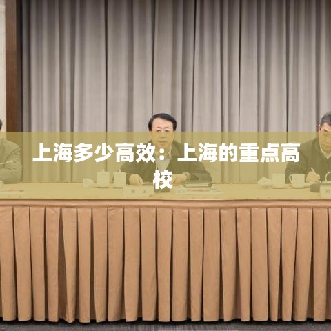 上海多少高效：上海的重點(diǎn)高校 