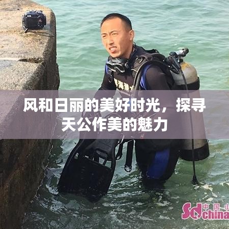 風(fēng)和日麗的美好時光，探尋天公作美的魅力