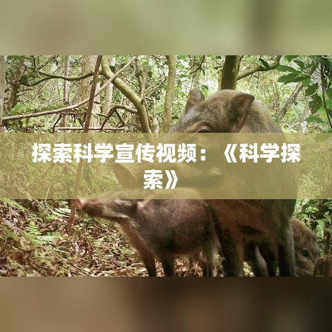 探索科學(xué)宣傳視頻：《科學(xué)探索》 