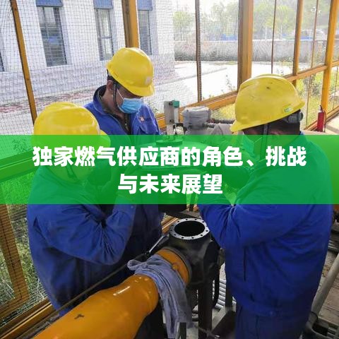 獨家燃氣供應商的角色、挑戰(zhàn)與未來展望