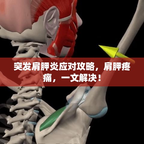 走馬觀花 第4頁(yè)