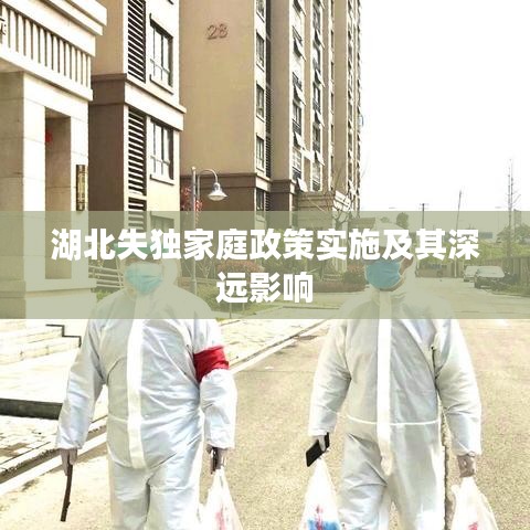 湖北失獨(dú)家庭政策實(shí)施及其深遠(yuǎn)影響
