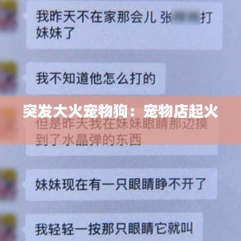 突發(fā)大火寵物狗：寵物店起火 