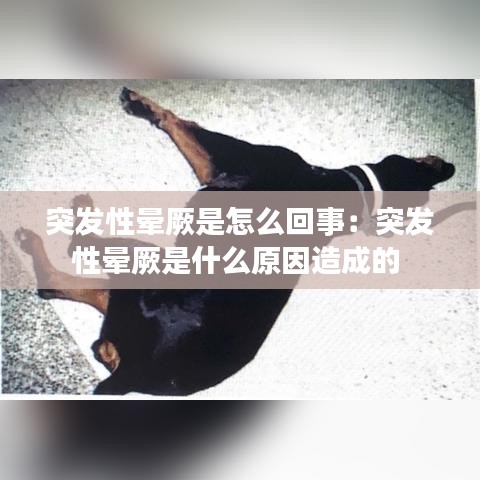 一席之地 第3頁